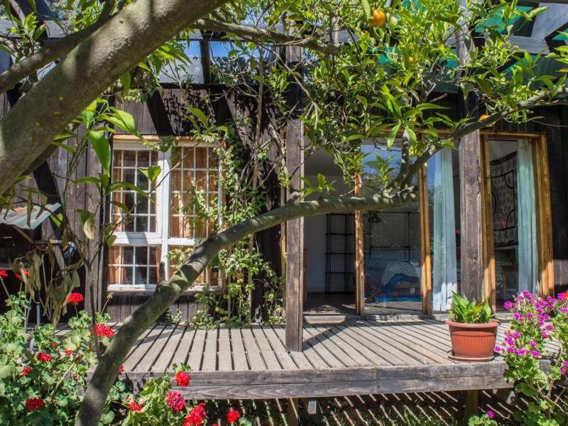 Casa Campo Lindo Olmué 外观 照片