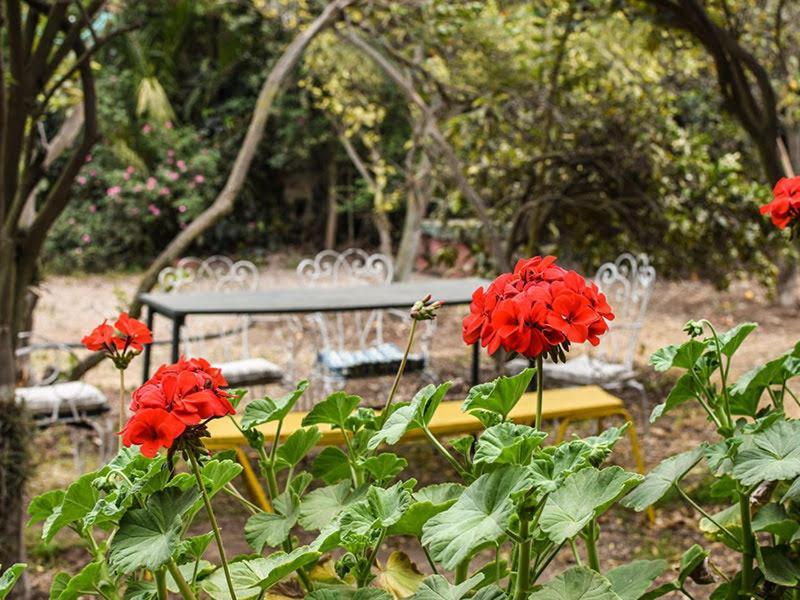 Casa Campo Lindo Olmué 外观 照片